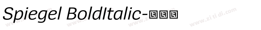 Spiegel BoldItalic字体转换
